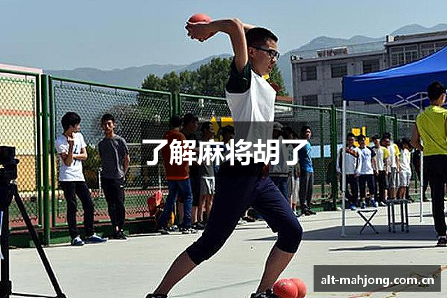 了解麻将胡了